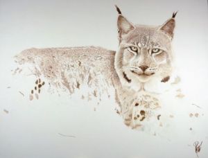 Voir le détail de cette oeuvre: lynx de Sibérie
