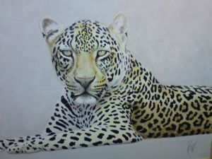 Voir le détail de cette oeuvre: léopard au repos